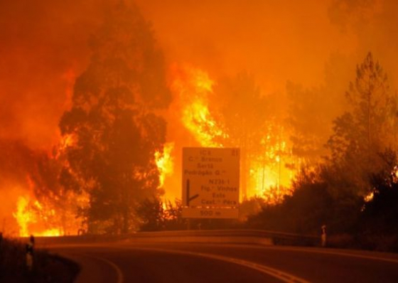 Portugal. Pessoas carbonizadas, aldeias evacuadas, e muitos desaparecidos no pior inc&ecirc;ndio de sempre