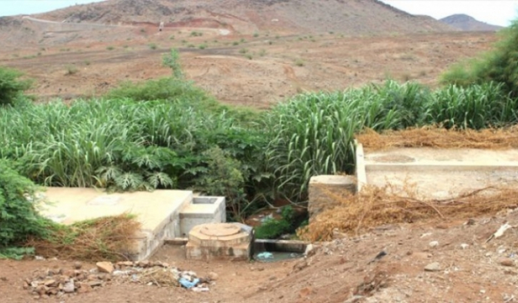 ARFA vai destruir hortas irrigadas com água de esgoto nos arredores da Praia