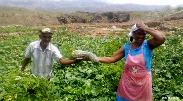 BAD financia fomento da produção agropecuária em Cabo Verde no montante de 1,1 milhões de escudos