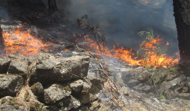 “Tudo leva a crer o incêndio no Planalto Leste foi fogo posto”