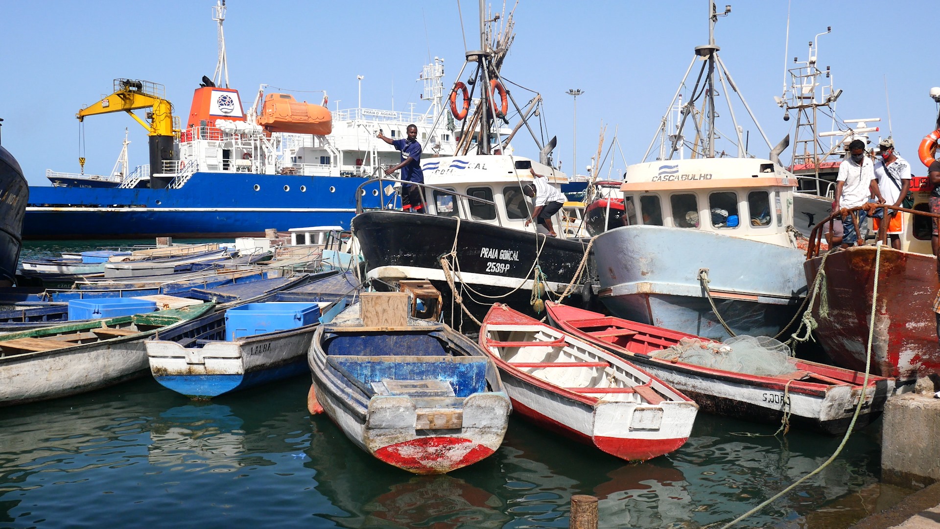 Cada quilo de atum pescado em Cabo Verde vai custar 16 00 à União