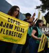 Organizações vão à COP30 defender financiamento público na luta da contra as alterações climáticas