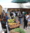 Porto Novo: Mulheres empreendedoras retomam Feira Agropecu&aacute;ria de Lajedos