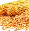 Preços de milho 2ª, arroz 1ª, feijão congo e óleo alimentar sobem no primeiro trimestre