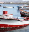 Santa Cruz: Associação de pescadores com diversas acções de sensibilização para o crescimento e bem-estar de toda a classe