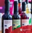 Fogo: Adega Sodade com queda na produ&ccedil;&atilde;o de vinho em rela&ccedil;&atilde;o &agrave; vindima do ano passado