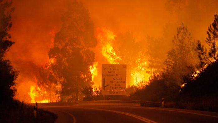Portugal. Pessoas carbonizadas, aldeias evacuadas, e muitos desaparecidos no pior incêndio de sempre