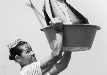 Peixeiras querem ter voz no desenho de pol&iacute;ticas p&uacute;blicas das pescas