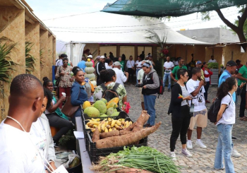 Porto Novo: Mulheres empreendedoras retomam Feira Agropecu&aacute;ria de Lajedos