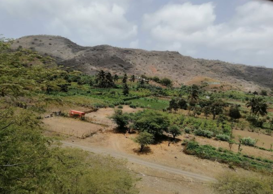 Parlamento: Deputados do PAICV interpelam Governo sobre pol&iacute;ticas para sector agr&iacute;cola