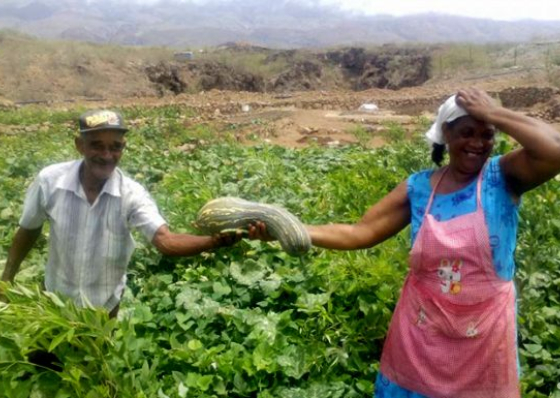 BAD financia fomento da produ&ccedil;&atilde;o agropecu&aacute;ria em Cabo Verde no montante de 1,1 milh&otilde;es de escudos