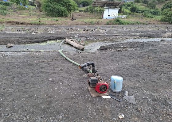 S&oacute; MpD e Governo est&atilde;o satisfeitos com as pol&iacute;ticas para a agricultura