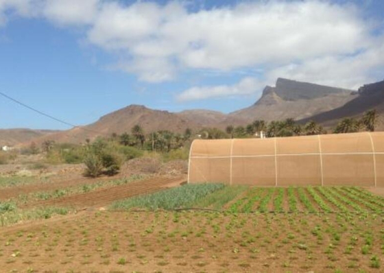 Banco Mundial prepara Relat&oacute;rio sobre Clima e Desenvolvimento em Cabo Verde