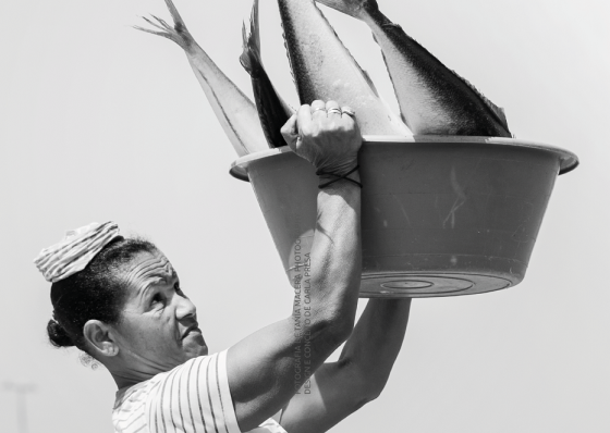 Peixeiras querem ter voz no desenho de pol&iacute;ticas p&uacute;blicas das pescas