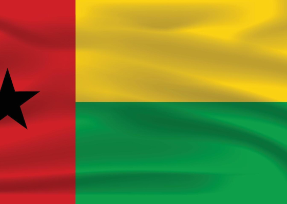 Guin&eacute;-Bissau/Elei&ccedil;&otilde;es: Resultados provis&oacute;rios divulgados at&eacute; quinta-feira &ndash; CNE