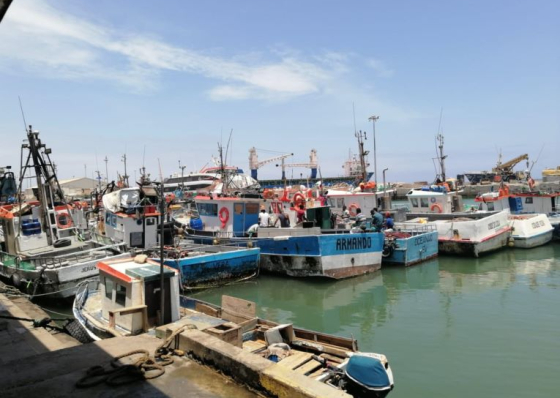 Pescadores e armadores da Praia insatisfeitos com acordo de pesca entre Uni&atilde;o Europeia e Cabo Verde