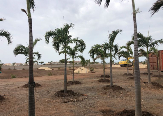 Viveiro Golf Resort. Nasce no Sal o primeiro campo de golfe relvado de Cabo Verde  &nbsp;