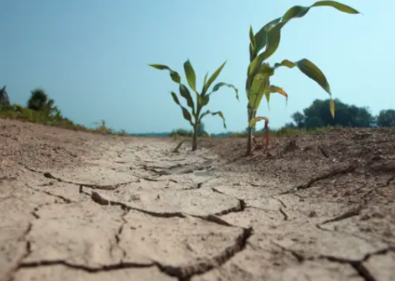 Peritos da CEA destacam urg&ecirc;ncia na seguran&ccedil;a energ&eacute;tica e alimentar diante das mudan&ccedil;as clim&aacute;ticas em na&ccedil;&otilde;es africanas