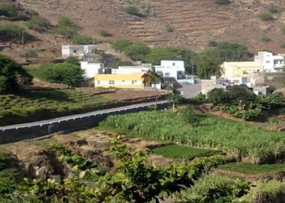 Porto Novo: Falta de &aacute;gua pode obrigar agricultores a optar pelo cultivo de cana