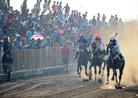 Fogo: Morte de tr&ecirc;s cavalos ensombra prova de hipismo &ndash; causas ainda desconhecidas