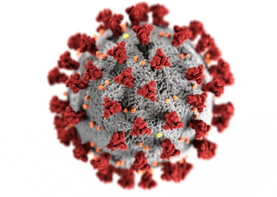 Covid-19. Nonagen&aacute;ria &eacute; a primeira cabo-verdiana no pa&iacute;s a morrer com coronavirus