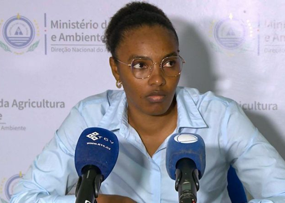 DNA faz ponto de situa&ccedil;&atilde;o da implementa&ccedil;&atilde;o da lei que pro&iacute;be comercializa&ccedil;&atilde;o e importa&ccedil;&atilde;o de pl&aacute;sticos descart&aacute;veis