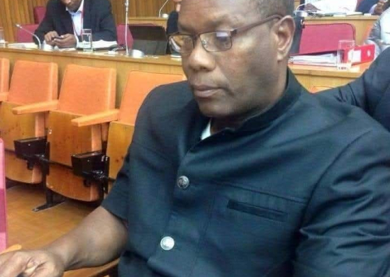 Altern&acirc;ncia governativa e maturidade democr&aacute;tica em Cabo Verde