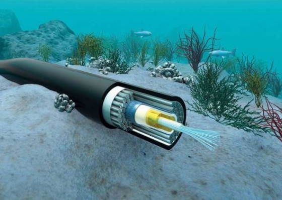 Cabo Verde liga-se ao cabo submarino EllaLink e quer exportar internet para &Aacute;frica