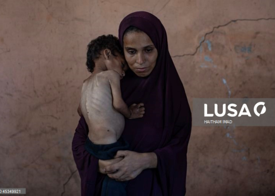Uma em cada tr&ecirc;s pessoas passa dias sem comer em Gaza