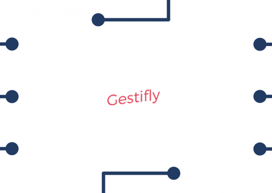 Gestifly. Um Software de gest&atilde;o financeira para empresas