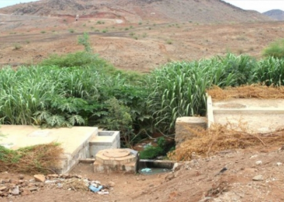 ARFA vai destruir hortas irrigadas com &aacute;gua de esgoto nos arredores da Praia