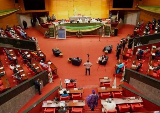 Parlamento da CEDEAO debate elei&ccedil;&otilde;es directas e analisa relat&oacute;rios regionais