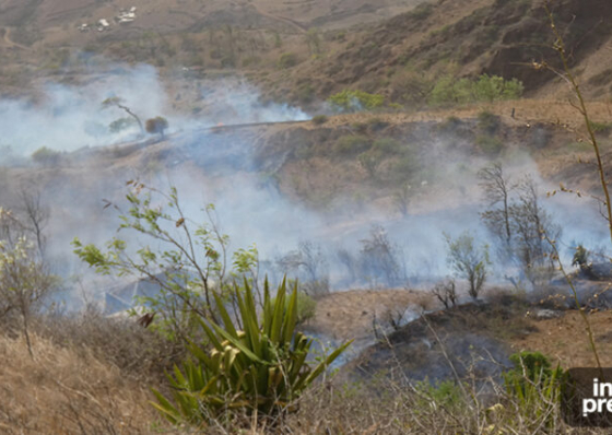 Inc&ecirc;ndio nas &aacute;reas protegidas da Serra Malagueta &ldquo;controlado e encerrado&rdquo;