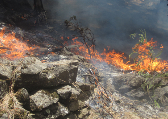 &ldquo;Tudo leva a crer o inc&ecirc;ndio no Planalto Leste foi fogo posto&rdquo;