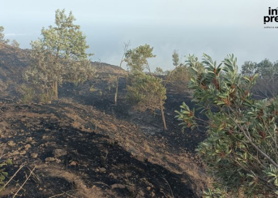 Fogo: Inc&ecirc;ndio descontrolado em Santa Catarina j&aacute; consumiu cerca de 200 hectares de terrenos