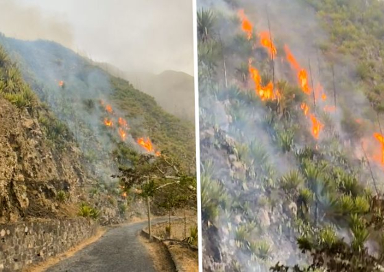 Fogo: Inc&ecirc;ndio que deflagrou em Cova Matinho continua activo