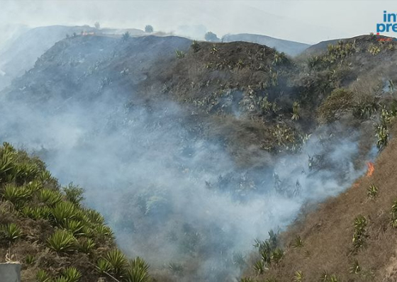 Inc&ecirc;ndio de grandes propor&ccedil;&otilde;es em Campanas de Baixo, ilha do Fogo