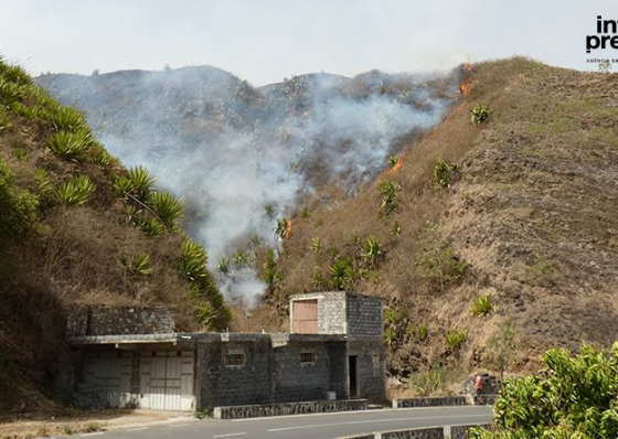 Inc&ecirc;ndio em Campanas de Baixo consome sete hectares de terreno agr&iacute;cola e de pastagem
