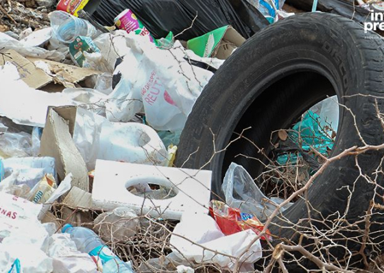 Chuvas reacendem risco de aumento do paludismo e autoridades refor&ccedil;am combate