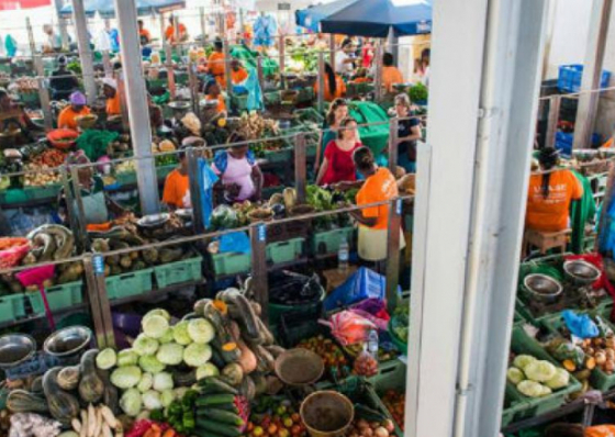 Pagamento com cart&otilde;es banc&aacute;rios chega ao mercado do Plateau