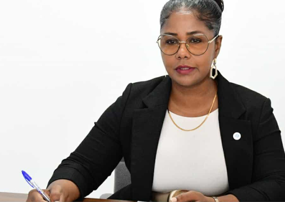 Elisa Pinheiro acusa Governo de pretender competir com a C&acirc;mara de Porto Novo