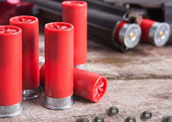 Autoridades apreenderam mais de 30 mil munições ilegais em seis anos em encomendas
