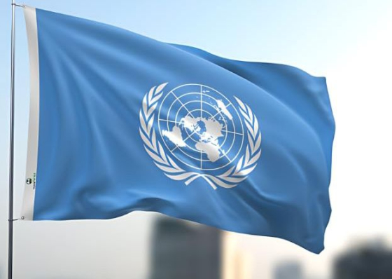 ONU exige suspens&atilde;o imediata do plano de Israel para controlo de Gaza