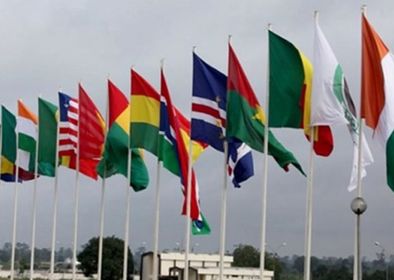 Precipitação de José Luís Livramento causa mal-estar na CEDEAO