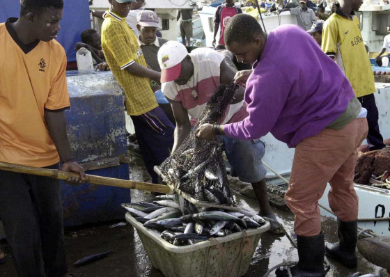 Exporta&ccedil;&otilde;es cabo-verdianas de conservas e peixe ca&iacute;ram quase 9% em 11 meses