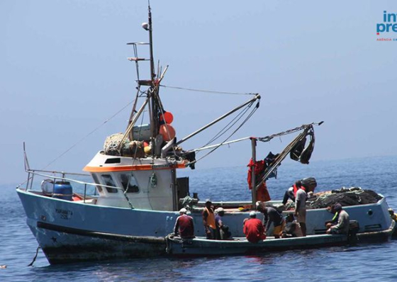 Coordenador do projecto Reduce alerta para a necessidade de monitorar impactos da pesca industrial