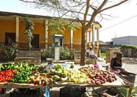 Governo quer colocar produtos agr&iacute;colas nacionais nas institui&ccedil;&otilde;es do Estado