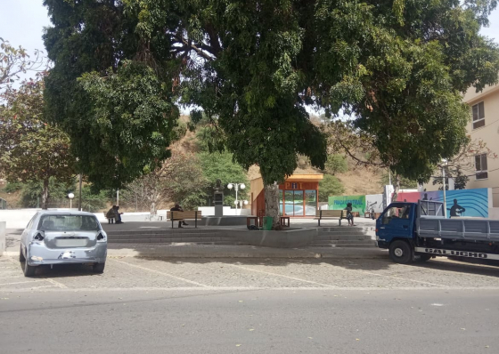 CM de S&atilde;o Domingos promove este fim-de-semana Feira de artesanato, plantas ornamentais e sabores locais