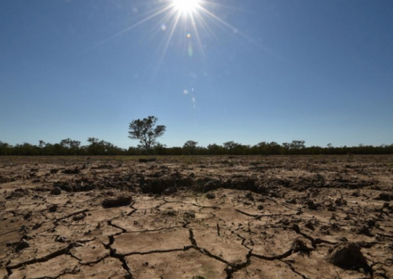 Governo garante estar preparado para um eventual mau ano agr&iacute;cola