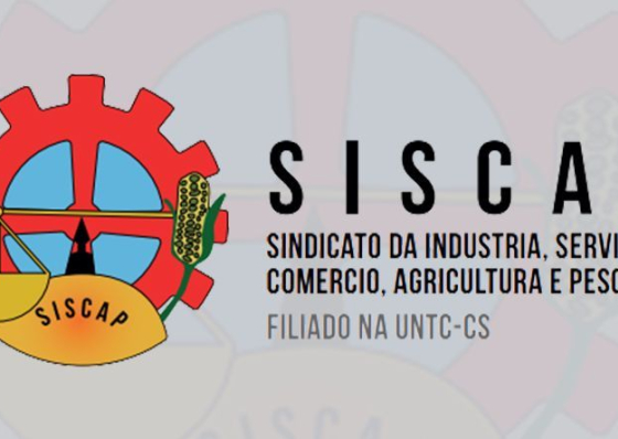 SISCAP alerta para perda de credibilidade nos dados do INE devido à má gestão
